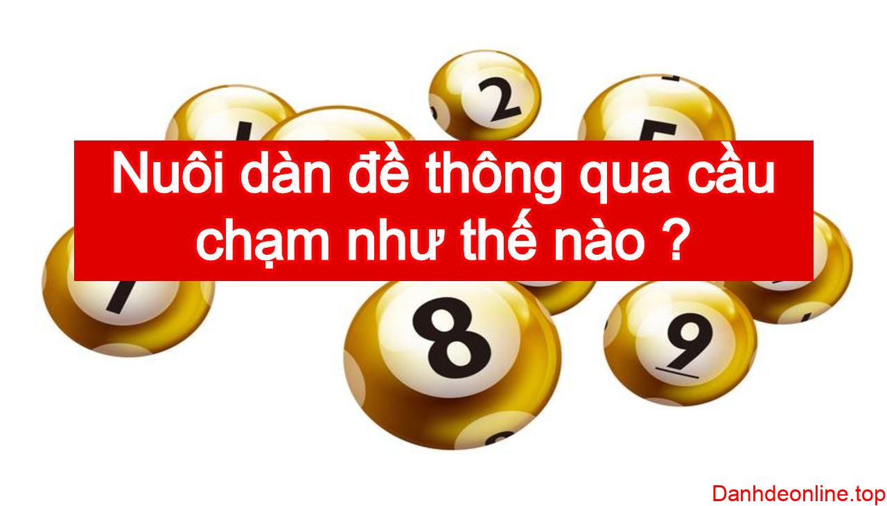 Nuôi dàn đề thông qua cầu chạm như thế nào