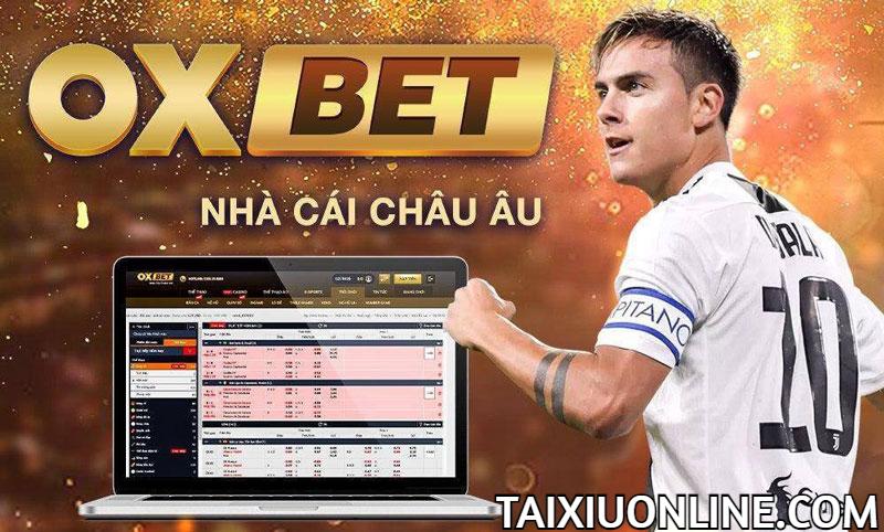 Oxbet - Nhà cái hàng đầu Châu Âu