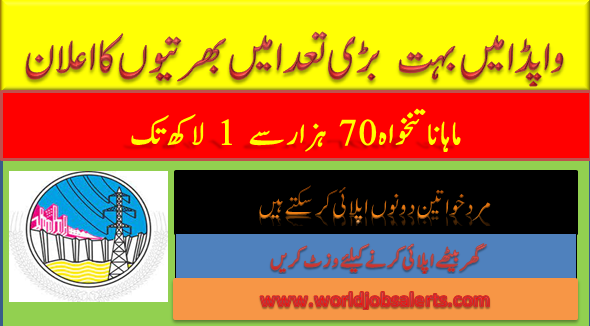 Wapda Jobs 2024 online Apply