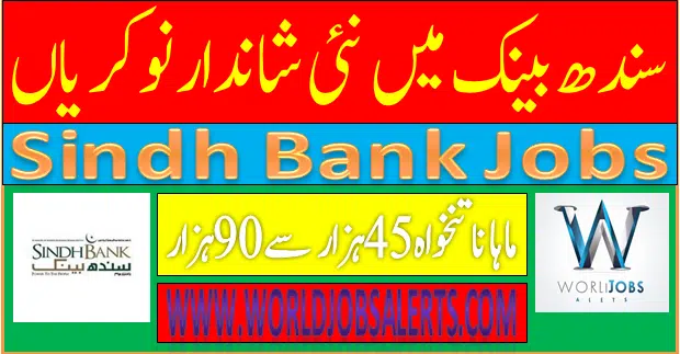 Sindh Bank Jobs 2024 Online Apply(Last Date)