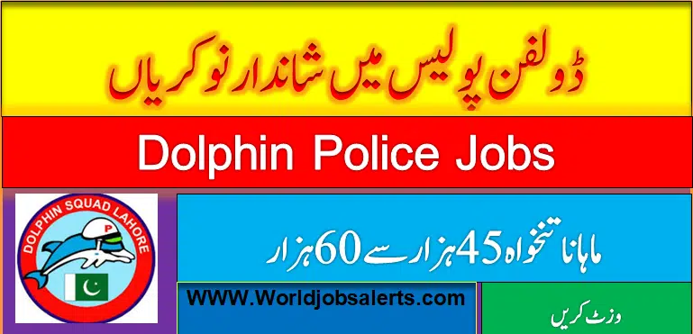 Dolphin Police Jobs