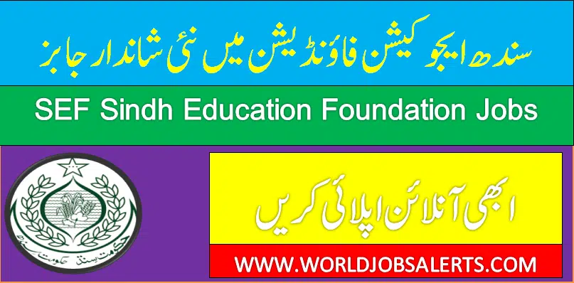 SEF Sindh Education Foundation Jobs 2024