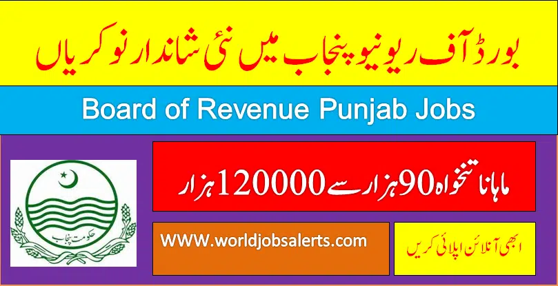 Board of Revenue Punjab Jobs 2024