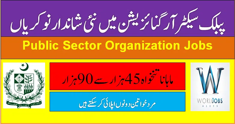 Public Sector Organization Jobs 2024