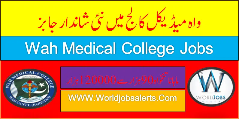 Wah Medical College Jobs 2024